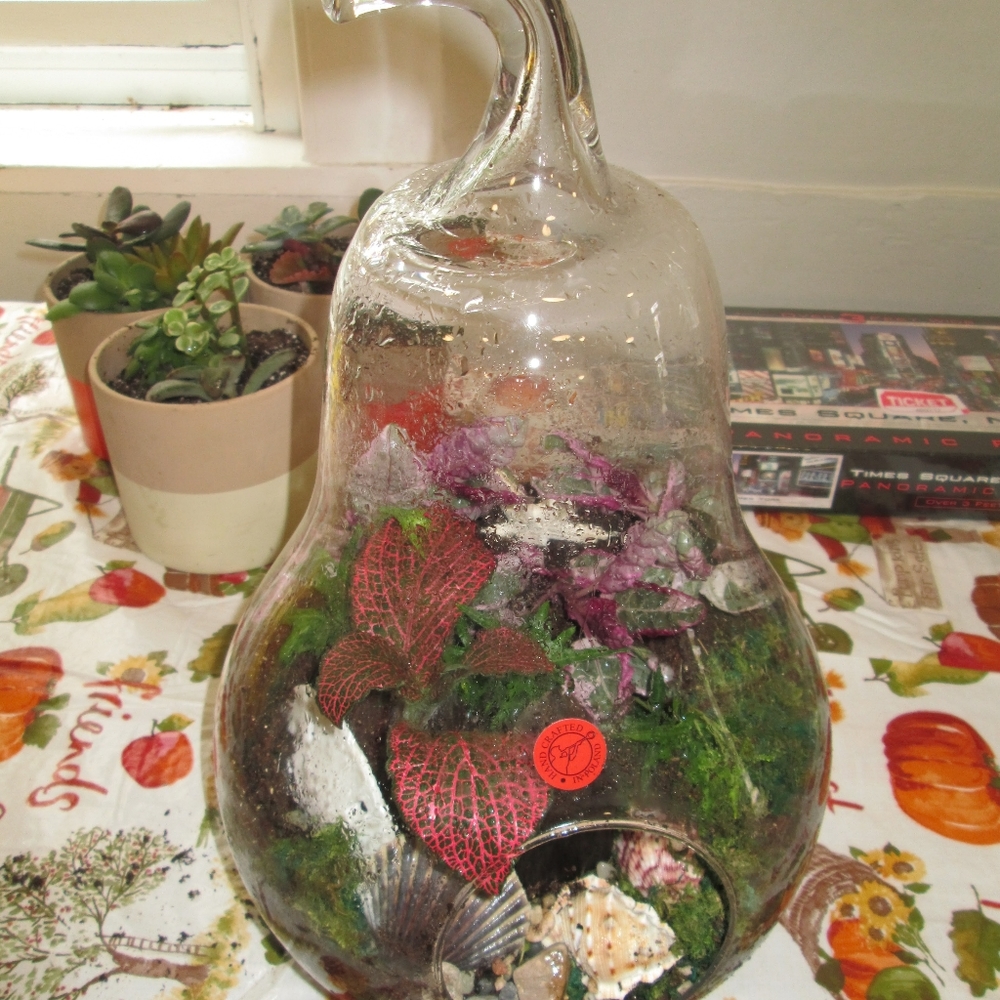 Gardens in Glass Kit